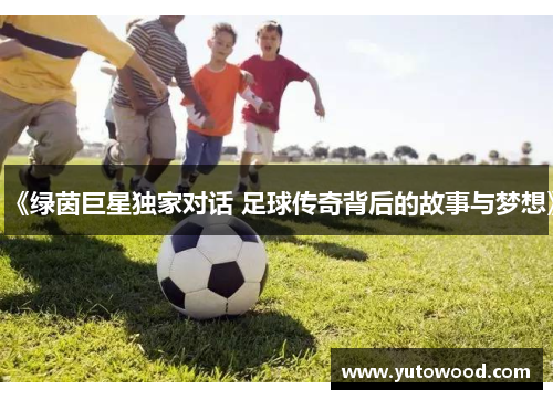 《绿茵巨星独家对话 足球传奇背后的故事与梦想》