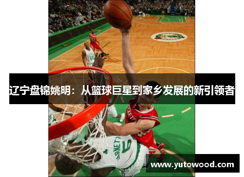 辽宁盘锦姚明：从篮球巨星到家乡发展的新引领者