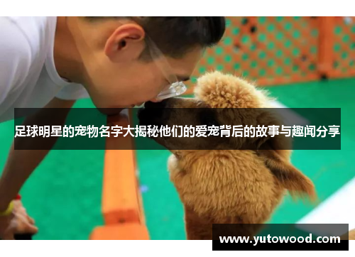 足球明星的宠物名字大揭秘他们的爱宠背后的故事与趣闻分享