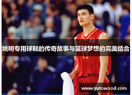 姚明专用球鞋的传奇故事与篮球梦想的完美结合