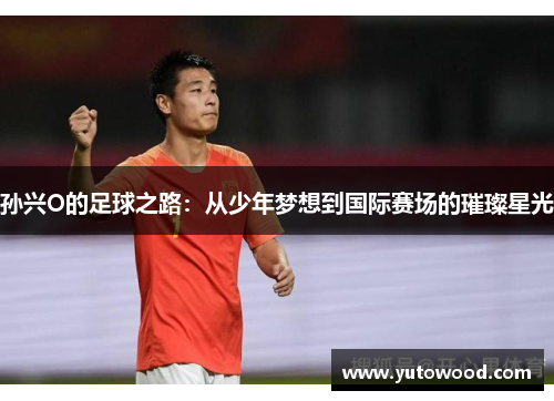 孙兴O的足球之路：从少年梦想到国际赛场的璀璨星光