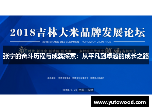 张宁的奋斗历程与成就探索：从平凡到卓越的成长之路