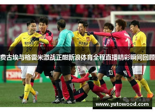 费古埃与格雷米激战正酣新浪体育全程直播精彩瞬间回顾